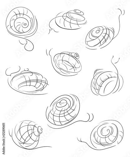Snails set. Abstract decorative design elements. Isolated objects on white background. Vector illustration