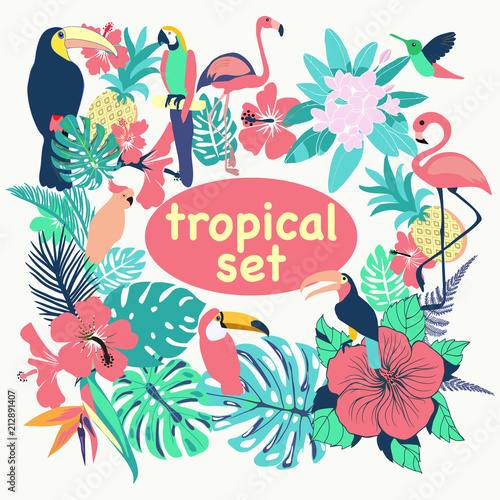  collection of tropical birds, palm leaves and flowers