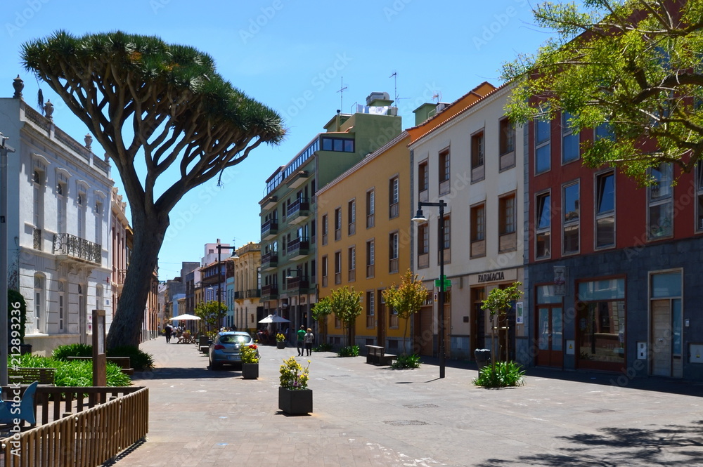 Naklejka premium 2014-04 Teneriffa