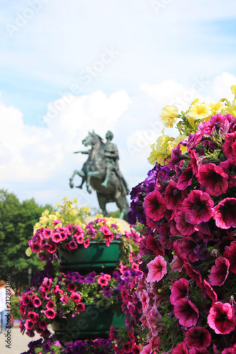 Colorful Flower Pot Close Up with Bronze Horseman Equestrian Statue on Background in Saint Petersburg, Russia. Scenic Summer View with City Landmark on Downtown Square, Selective Focus. 