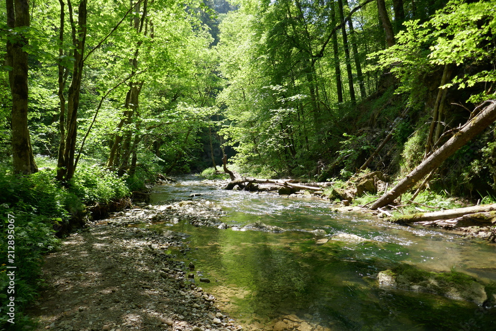 2018-05 Wutachschlucht 2018-05 Wutachschlucht