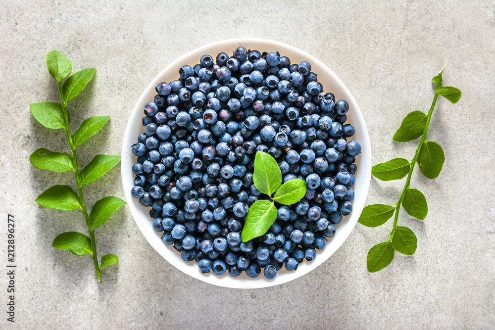 Fresh blueberries in a bowl, top view on white background. Forest blue berries, healthy food concept. Fresh blueberries in a bowl, top view on white background. Forest blue berries, healthy food concept.