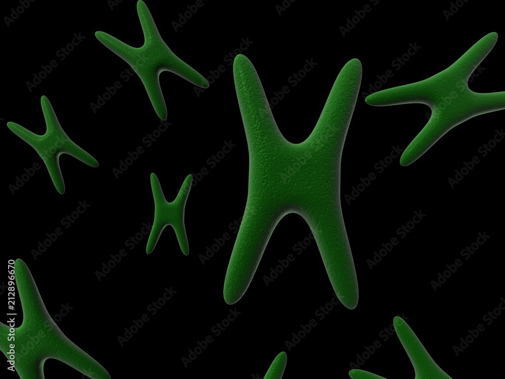 3d rendering human body chromosomes
