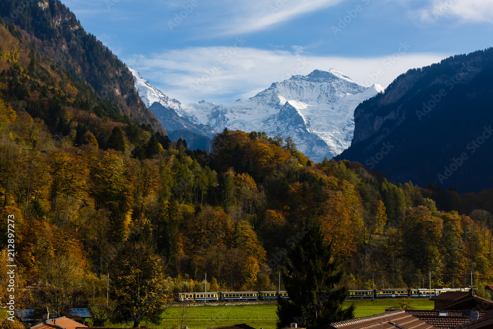 train and snowy mountain on meadow at Jungfrau region in Switzerland