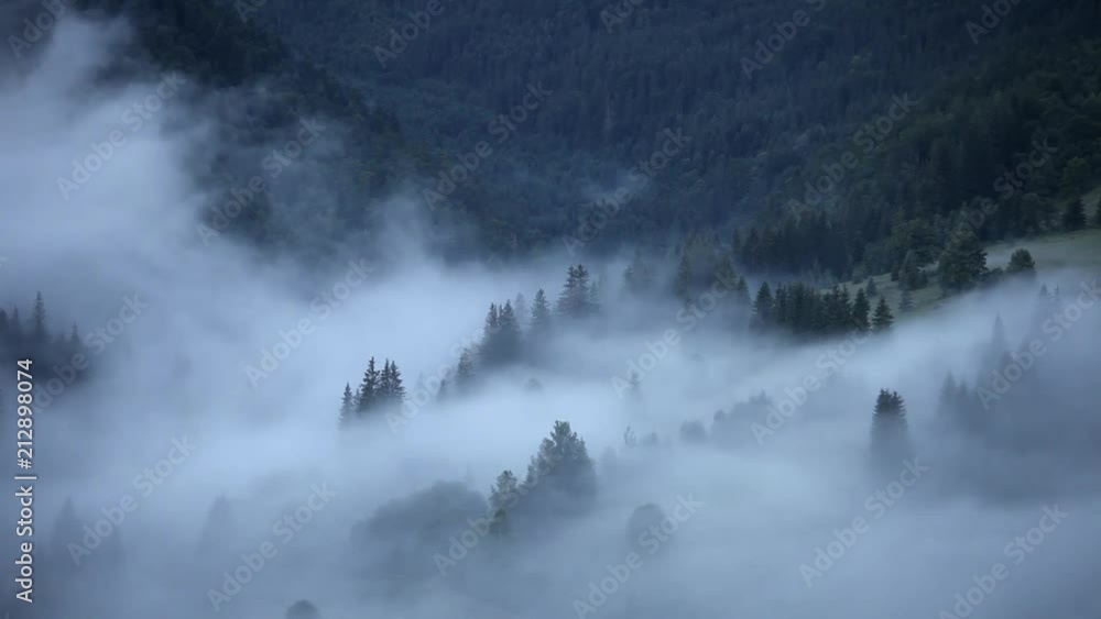 Time lapse clouds and fog moving over pine tree highland forest. Foggy morning landscape at Carpathian mountains, Ukraine Time lapse clouds and fog moving over pine tree highland forest. Foggy morning landscape at Carpathian mountains, Ukraine