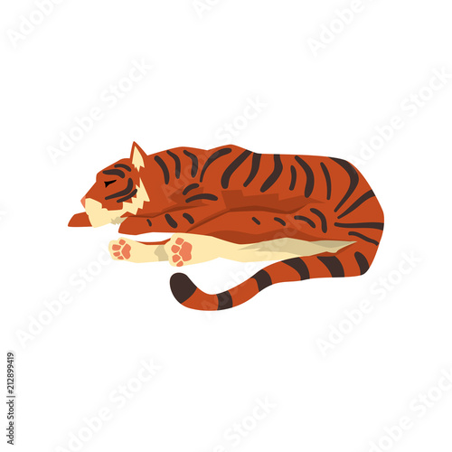 Tiger sleeping on the floor, wild cat, predator cartoon vector Illustration on a white background