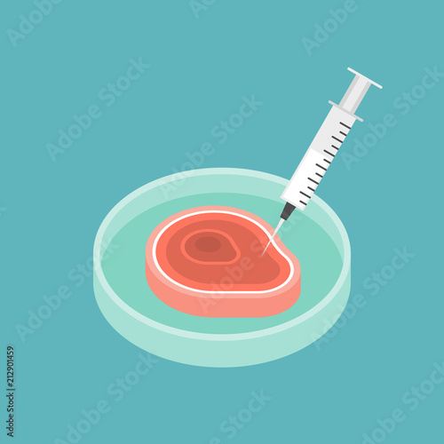 Injection meat, synthetic meat concept, flat design