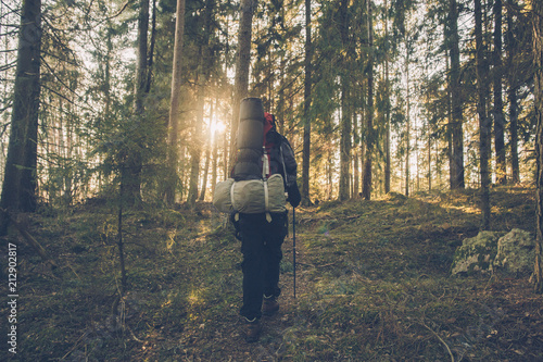 Backpacker hiking in remote forest in backlight