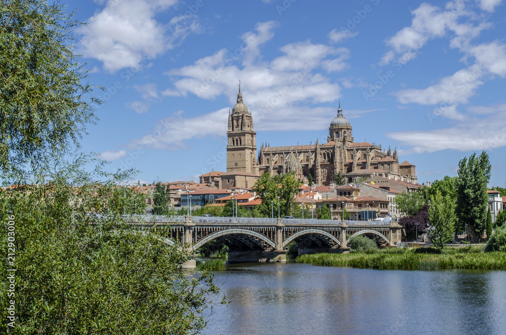 Fototapeta premium vista de las catedrales y el puente de Hierro de Salamanca