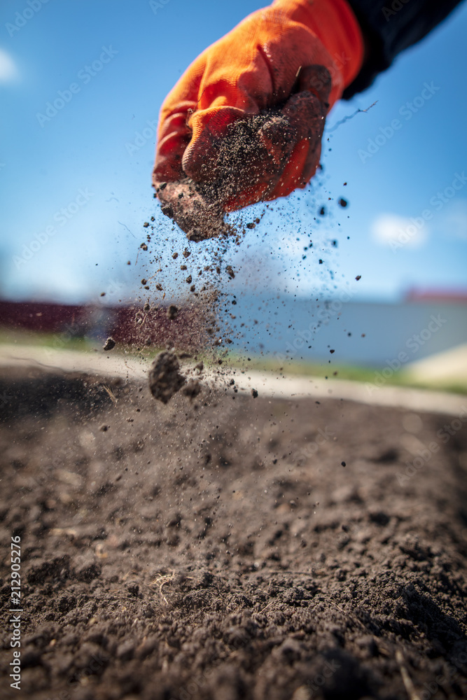 The ground is scattered in the hand in the garden The ground is scattered in the hand in the garden