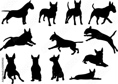 Leinwand Poster Bull Terrier - Silhouetten