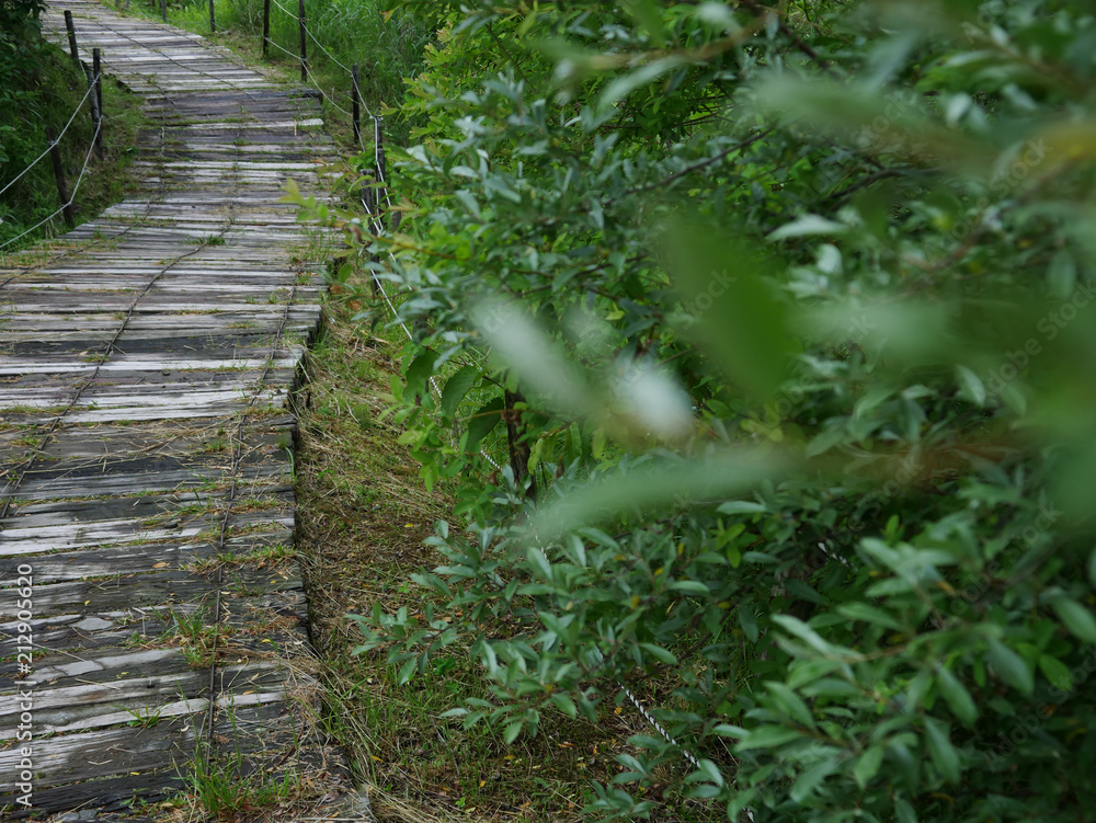 Obraz premium 枕木の道