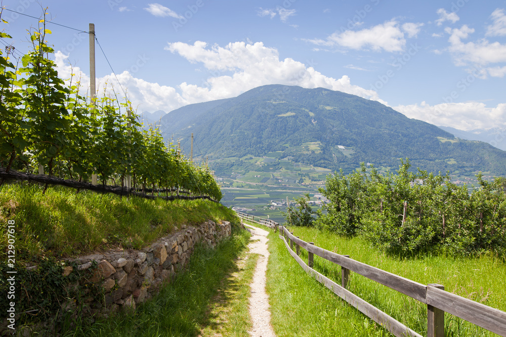 Fototapeta premium Wandweg in Dorf Tirolo