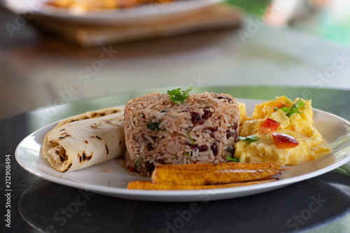 Gallo Pinto 2