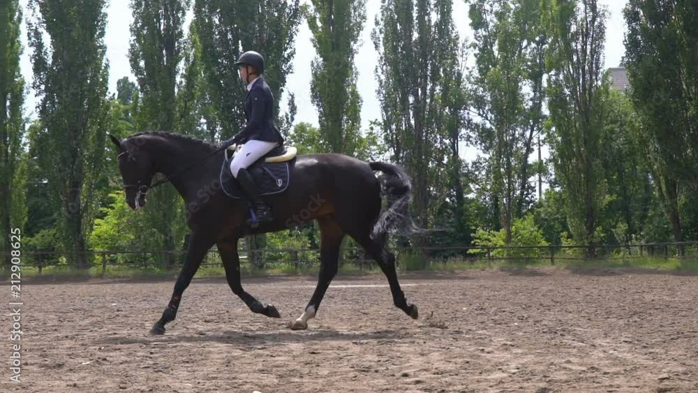 a thoroughbred stallion runs across the field. a horseman rides a horse in the rider's riding. sunny day. slow-motion HD a thoroughbred stallion runs across the field. a horseman rides a horse in the rider's riding. sunny day. slow-motion HD