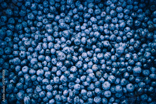 Fresh blueberry berries close up