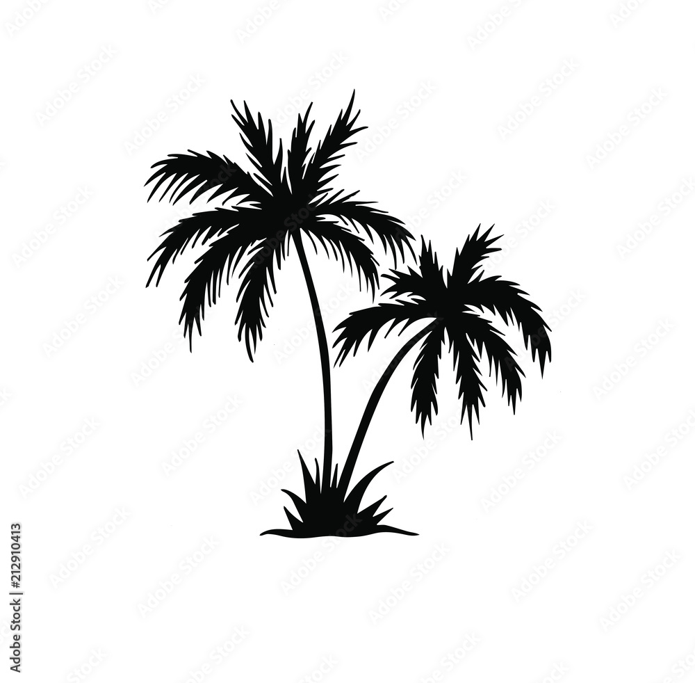 Tropical, palm, vector illustration Tropical, palm, vector illustration