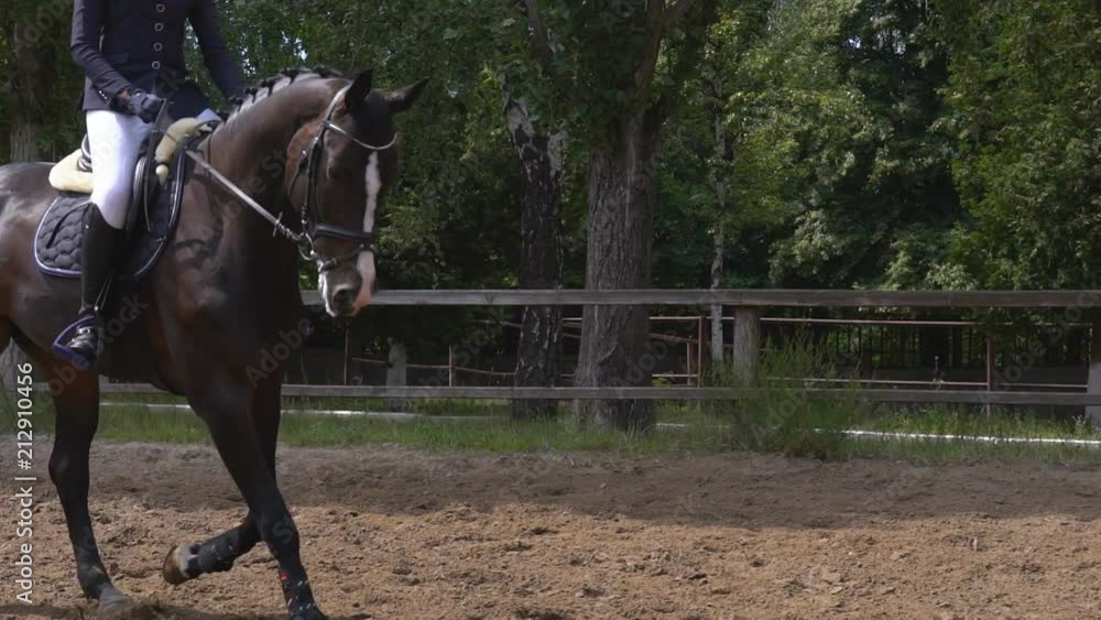 a thoroughbred stallion runs across the field. a horseman rides a horse in the rider's riding. sunny day. slow-motion HD a thoroughbred stallion runs across the field. a horseman rides a horse in the rider's riding. sunny day. slow-motion HD