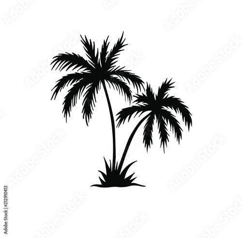 Tropical, palm, vector illustration