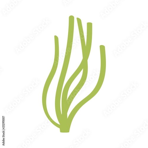 green algae bush isolated. vector