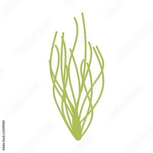 green algae bush isolated. vector on white background