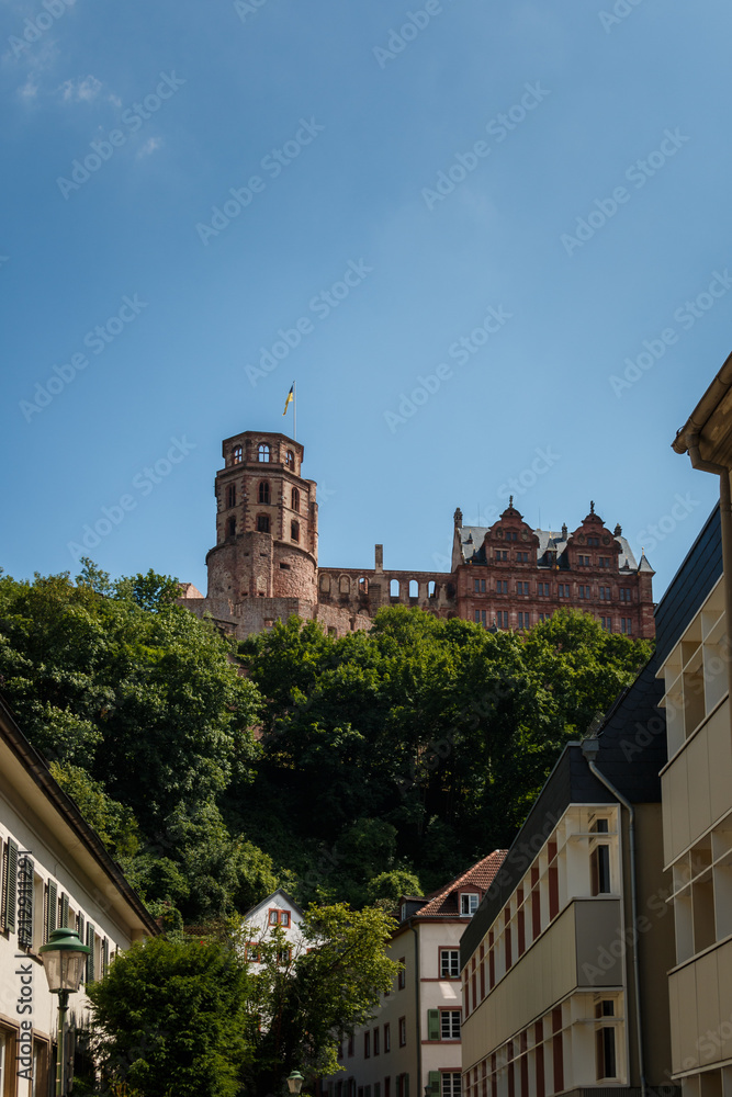 Blick auf das Schloss (Schlossruine) in Heidelberg von der Altstadt, Baden Württemberg, Deutschland