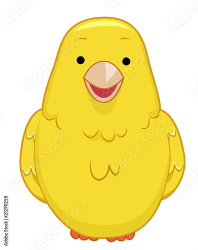 Bird Canary Illustration