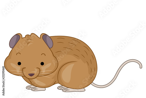 Vole Illustration