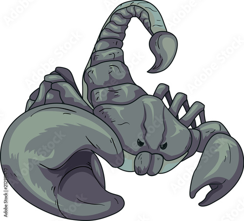 Scorpion Illustration