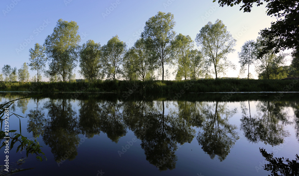 Fototapeta premium Reflections