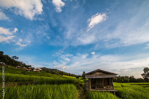 cottage center rice field