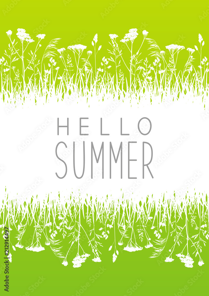 Fototapeta premium Green summer meadow with grass silhouettes