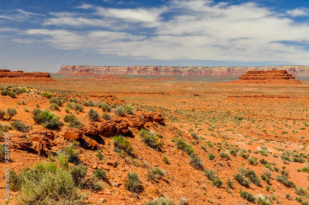 Desert Landscape in Utah's Valley of the Gods