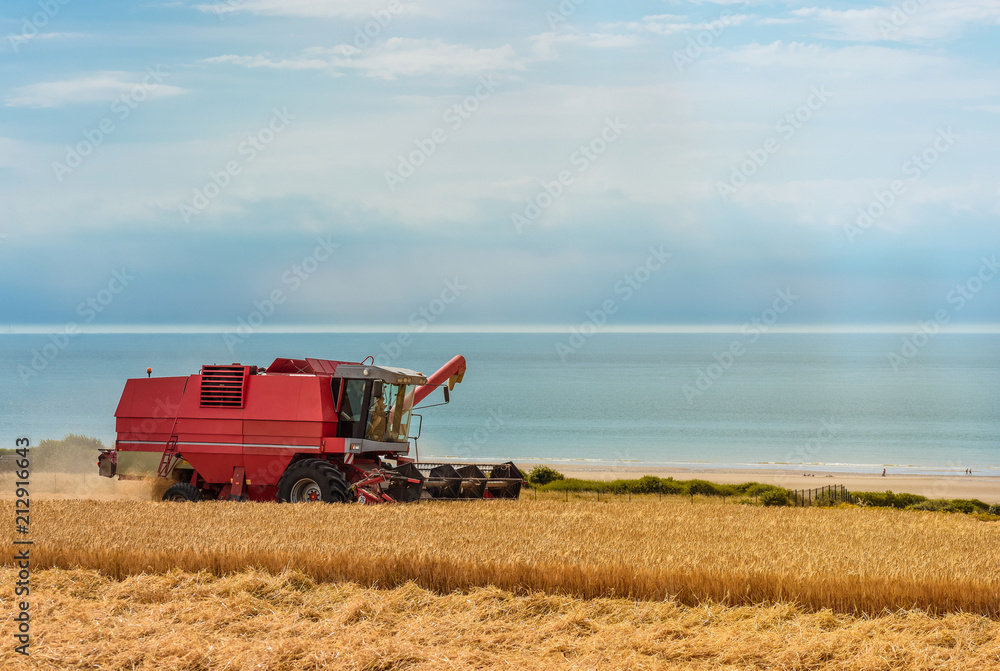 Obraz premium moissoneuse batteuse en action