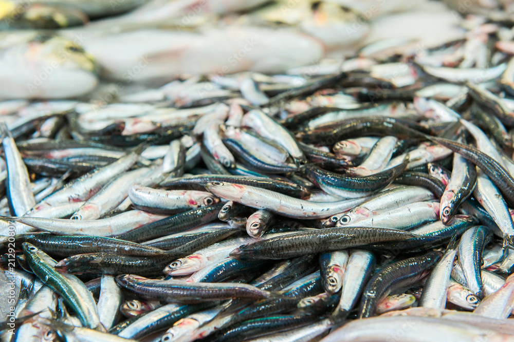 Freshly caught sardines on seafood market