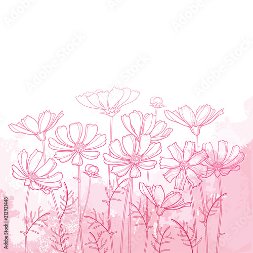 Vector bouquet with outline Cosmos or Cosmea flower bunch, ornate leaf and bud in pastel pink on the textured pink background. Contour blooming Cosmos plant for elegance summer design.