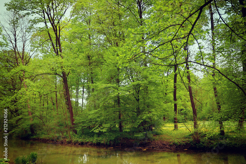 beautiful view of one of the many canals crossing the Englischer Garten, green park in the heart of Munich