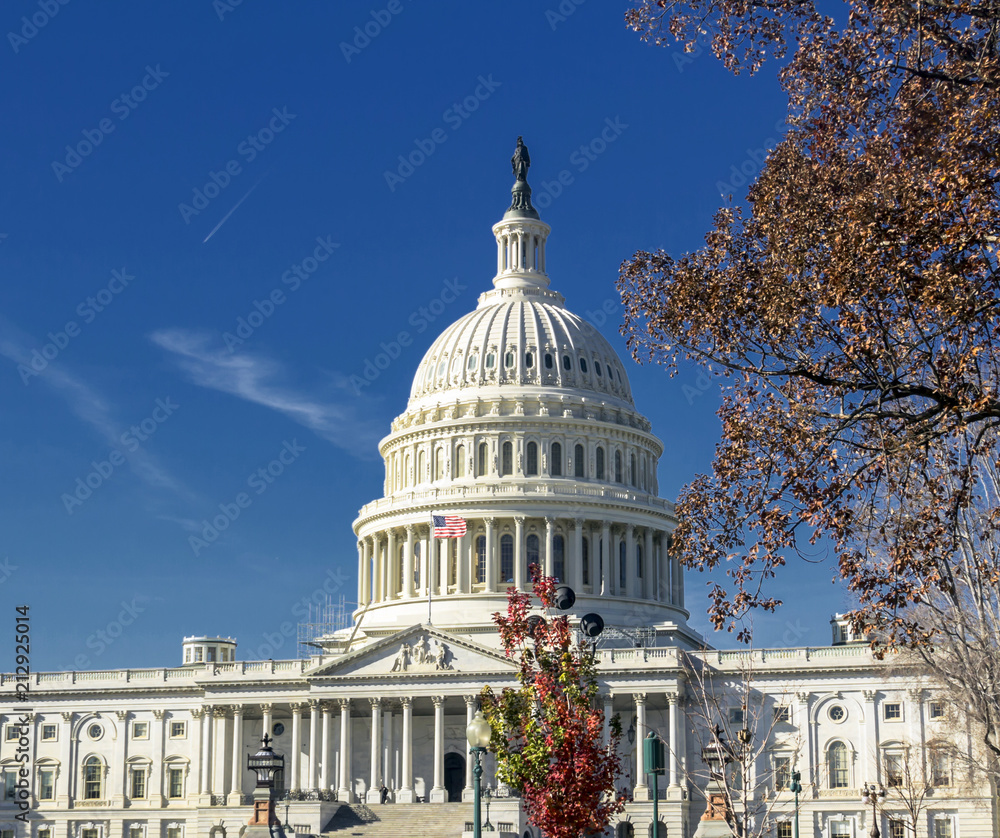 United States Capitol Building, Washington DC, USA