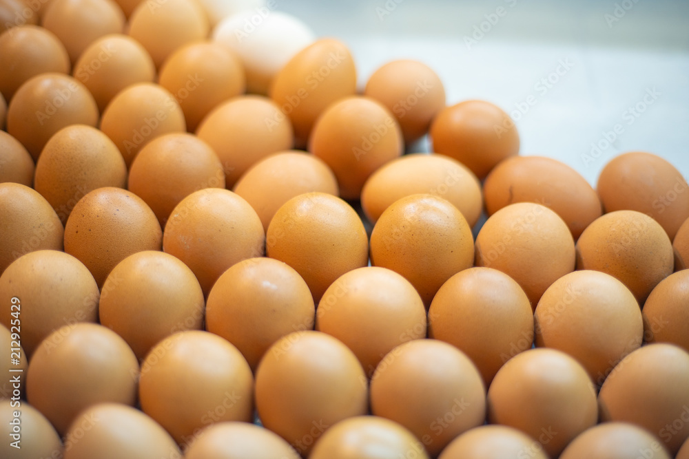 Select focus eggs of chicken Put together on Egg pan. Select focus eggs of chicken Put together on Egg pan.
