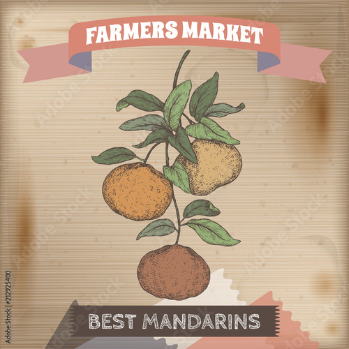 Famer market label with mandarin branch color sketch on wooden background.