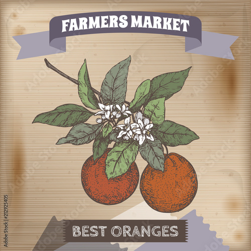 Famer market label with orange branch color sketch on wooden background.