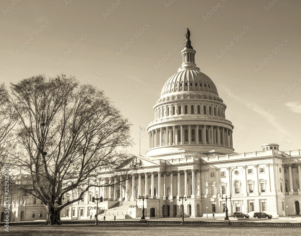 Washington DC - US Capitol building