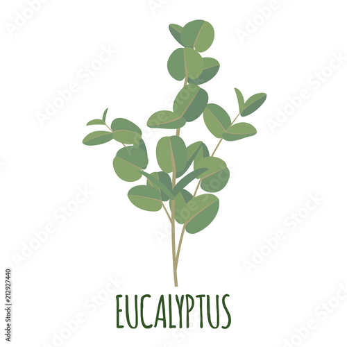 Eucaliptys icon in flat style isolated on white.