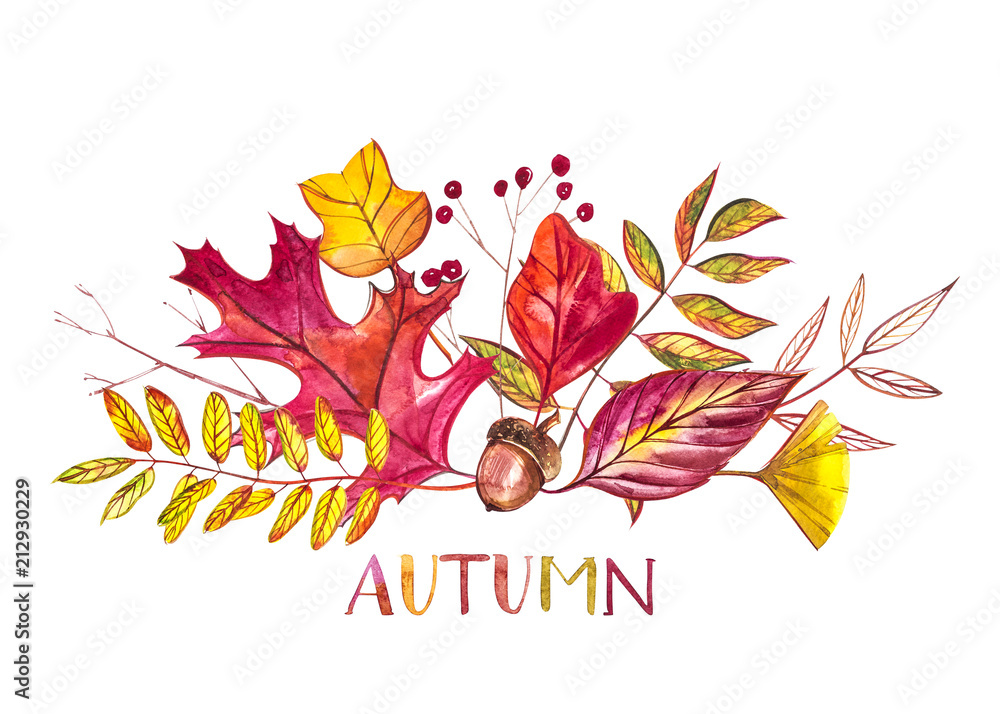 Autumn composition. Illustrations made of autumn berries and leaves on white background. Watercolor illustrations. Autumn composition. Illustrations made of autumn berries and leaves on white background. Watercolor illustrations.