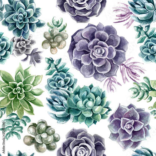 Pattern succulents painted with watercolor on a white background. Color cacti. A stone rose. Flowers from the desert.