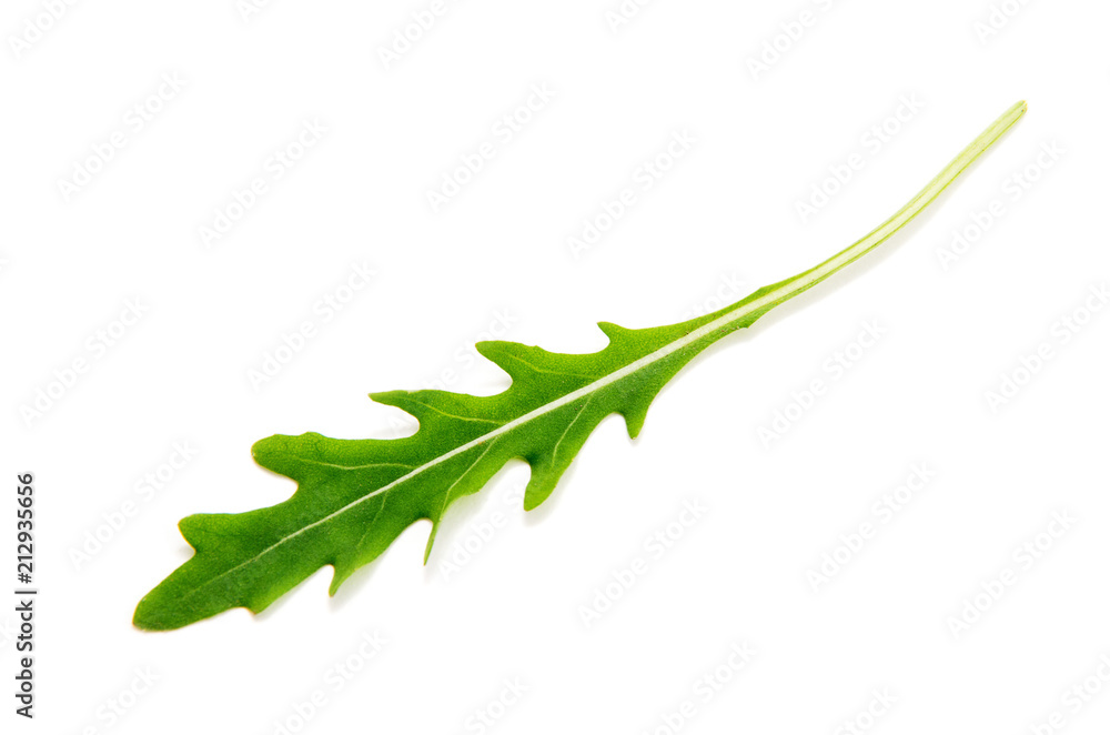 Green arugula leaf isolated on white Green arugula leaf isolated on white