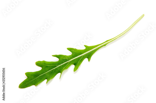 Green arugula leaf isolated on white