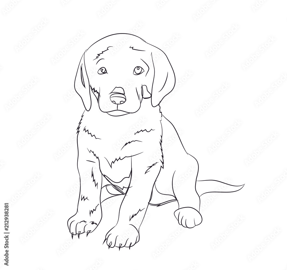 Fototapeta premium dog sitting, lines, vector