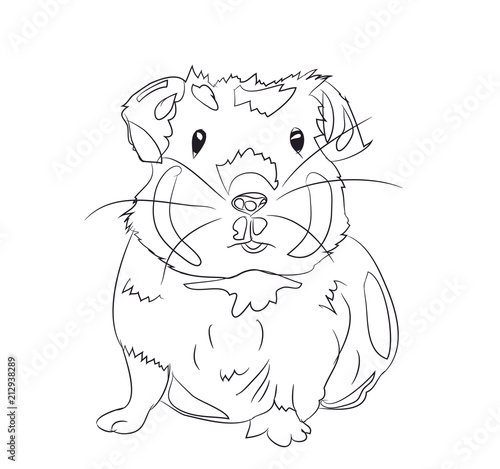 guinea pig, lines, vector
