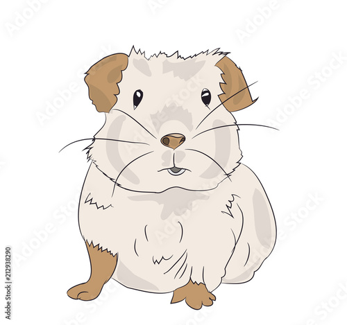 guinea pig, color vector